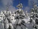 Winter 25